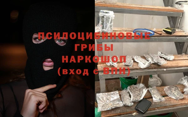 индика Приозерск